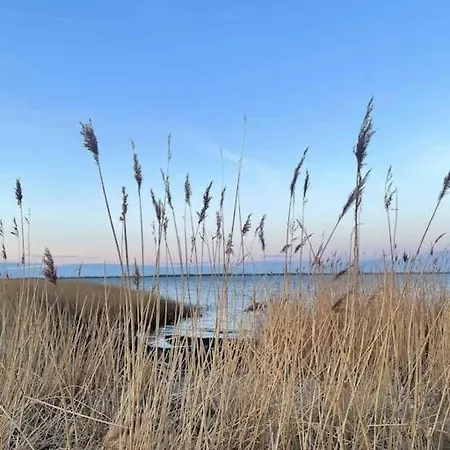 Gemuetlicher Bungalow In Natur Strand Naehe