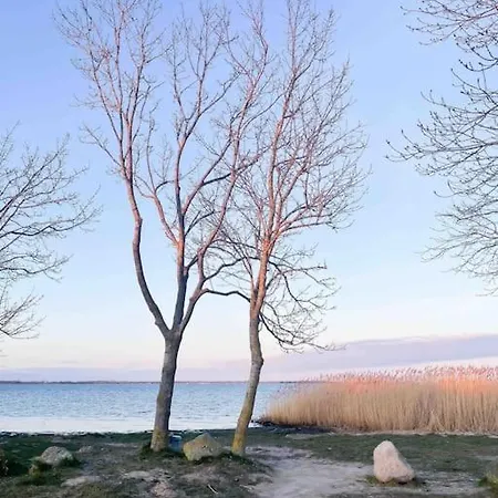 Ferienhaus Gemuetlicher Bungalow In Natur Strand Naehe Sundhagen-Niederhof